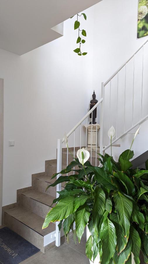 Gaestehaus Freystadt エクステリア 写真