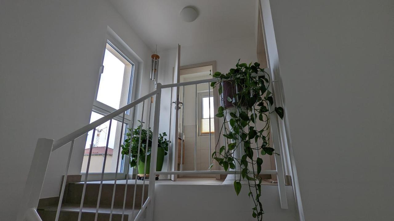 Gaestehaus Freystadt エクステリア 写真